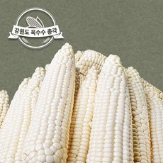 //상품명