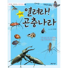 곤충카드