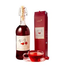 레드인 문경 오미자청 8+1 설선물, 1개, 700ml, 1개