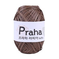 프라하라피아실