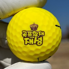 [주문제작] 골프공 이름도장 + 리필잉크 / 더블빅사이즈 23mm 골프 볼마커, 빨강, 그린 5ml