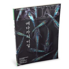 2021 아쿠아라이프 11월호 [메다카의 비밀], 단품, 단품