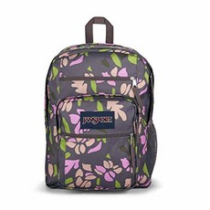 코오롱스포츠안타티카