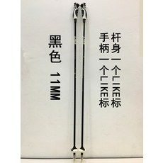 스키폴대