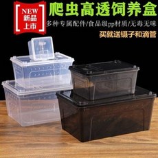 육지거북이 소라게 달팽이키우기 파충거미사육함 달팽이수궁도마뱀곤충지네전갈, 25 중간 사이즈 10개 송수분(색상 비고