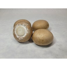 브라운 양송이 정품 1kg(탁구공사이즈), 1개