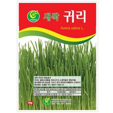 밀새싹키우기
