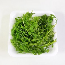 처빌