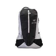 아크테릭스아로22