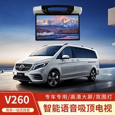 카니발천정모니터