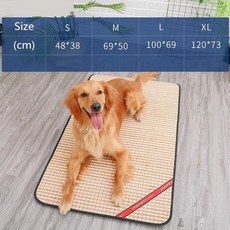스팀보이냉각통
