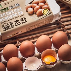 한솔양계