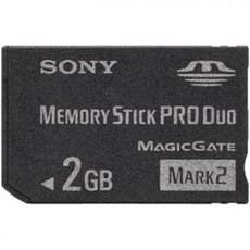 소니 SONY 메모리 스틱 Pro Duo Mark2 2GB MS-MT2G