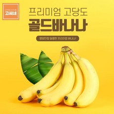 고씨네 프리미엄 바나나13KG 수입산바나나 바나나 과일바나나 제주도바나나 수입산바나나 수입바나나 산청바나나 국내산바나나 국산바나나 고당도바나나 경남바나나 경남산청바나나, 1개