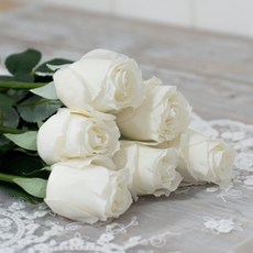 아인플라워 생화같은 장미 조화 6P, 화이트
