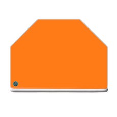 알래스카블랙돔