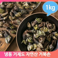 보말고동