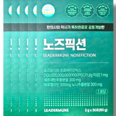  노즈픽션 2g x 30포 x 5박스 5개월분 