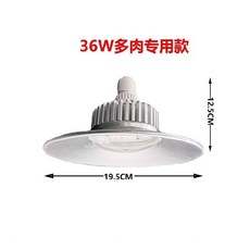 퓨쳐그린식물등