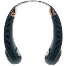 발뮤다배터리독