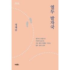 열두 발자국(큰글자 도서), 정재승, 어크로스