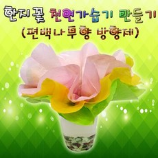 한지꽃 편백나무향 천연가습기 (5인용), 1개