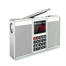 ( us) EONKO 다기능 스테레오 라디오 L-528 블루투스 AM FM TF USB 핸즈프리 AUX 레코더 손전등 시계 알람, 02 silver L-528