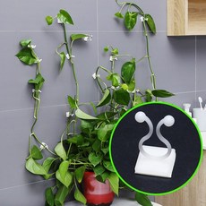 다용도 식물 고정후크 정원 온실 플라 야채 덩굴 클립 버클 고정 래싱 선정리(10P), 1) 소형 10개