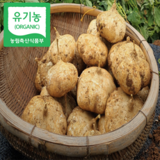 함평천지히카마