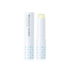 궁중비책모이스처립밤3.3g