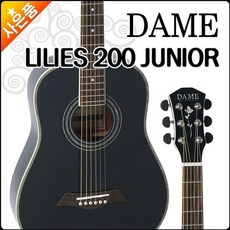 데임릴리즈200