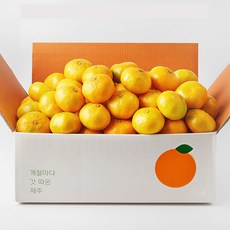 깨비농원 조생 감귤 9kg 9kg 중대과 1박스 상품 이미지