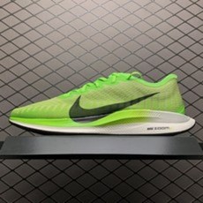 NK Zoom Pegasus Turbo 2 AT2863-300