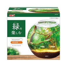 GEX 스페어 볼형 테라리움 유리병, 1개