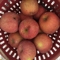달이네과수원 품질좋은 쥬스용 흠집 못난이 사과, 1박스, 쥬스용 사과 3kg