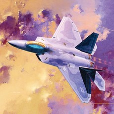 아카데미과학 172 F-22A 랩터 전투기 프라모델 12423, 단품