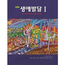 생애발달유아기
