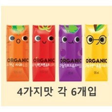 크니쁘니트니지니 오가닉 유기농 어린이주스 4가지맛 각6개씩 어린이 아이 주스 간식, 24개, 125ml