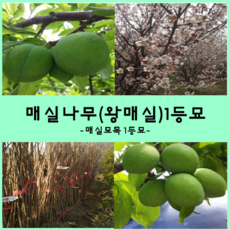 7b944c9d2709cda472db24309f085acae0e6253ec1af2d33f1475ce6b522.png
