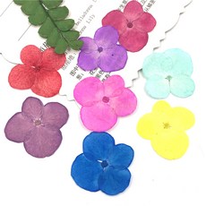 30개 가방 말린 된 꽃 장식 DIY UV 수지 금형 충전 네일 아트 스티커 쥬얼리 만들기 홈 수공예품, 04