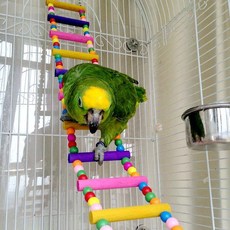 앵무새집 새 애완 동물 용품 걸이식 다채로운 공 등반 앵무새 사다리 천연 나무 1, 5 ladders multicolor, 1개