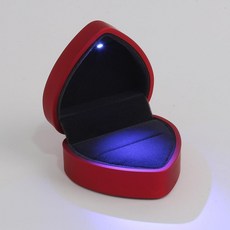 led반지함