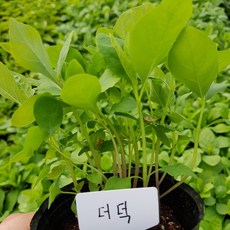 기섞모
