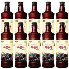 광야식품 복분자 베이스 970ml, 10개