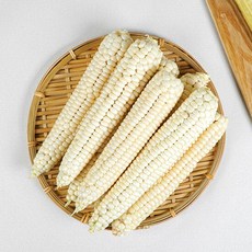[지금 출고중] 괴산 대학찰옥수수 20개 (특품), 단품