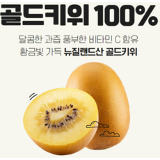 뉴질랜드 제스프리 골드키위 중과 2kg, 1박스, 골드키위 중과 2kg (11-15과)