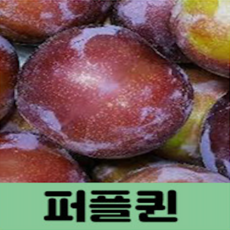 2f54afe9b88a77b02d65435578f99fc0fd09d1ac494cca381eaf09b16b58.png