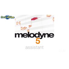 멜로다인 Melodyne 5 assistant Full version, 단일 옵션