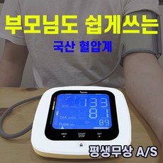 가정용 혈압측정기 자동 혈압기 국산 할뚝형 전자 혈압계, 기본형