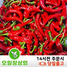 ( 오일장 상회) 국내산 홍고추 못난이 홍초 1kg 2kg 10kg